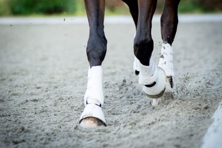 Horses booted legs to help prevent injury
