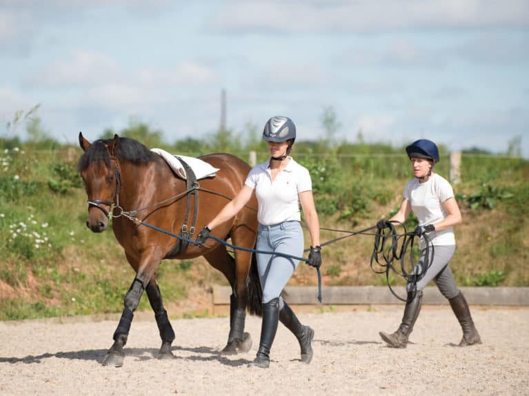 Long-reining with a helper