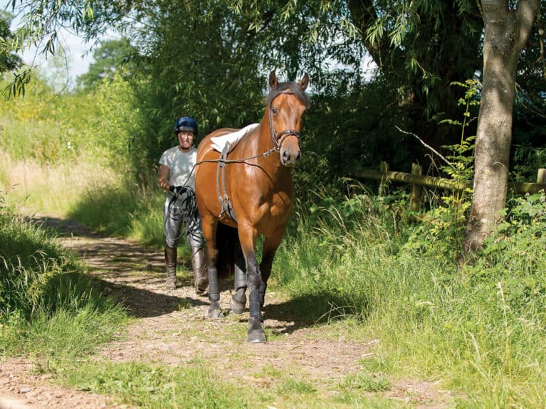 Rider long-reining horse out hacking