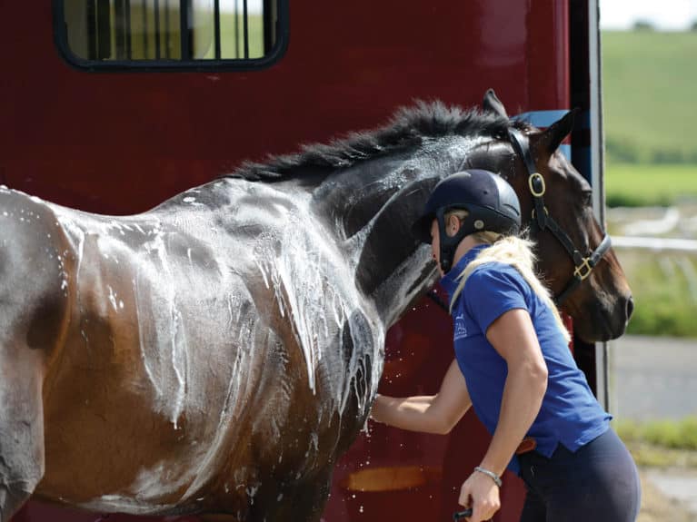 Horse being washed down after galloping