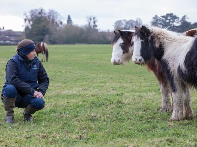 Charity Field Officer