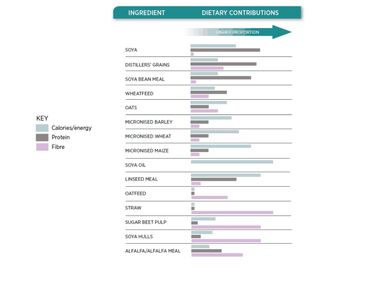 Horse feed dietary contributions table