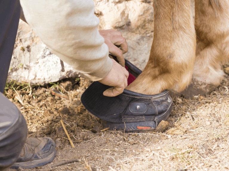 Hoof boots