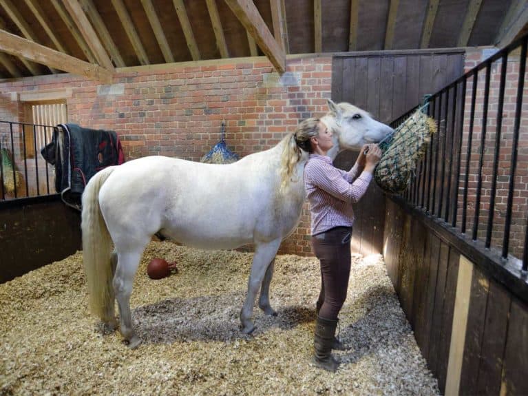 Horse in a stable with haynet