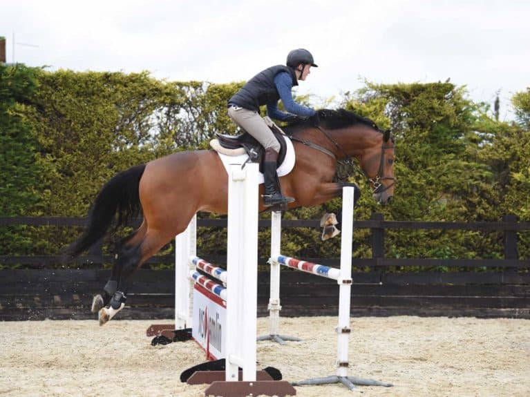 Showjumping