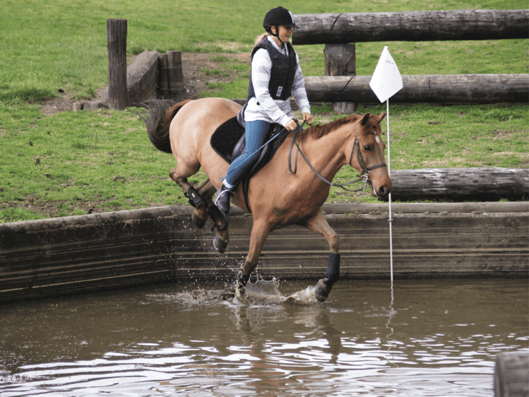 schooling in water