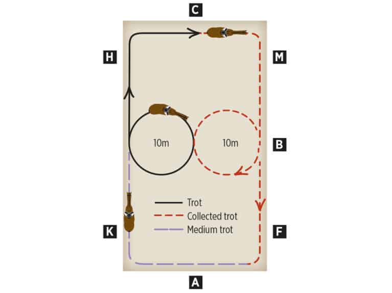 Diagram of exercise to ride collected to medium trot