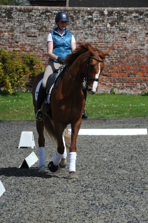 Riding shoulder fore along the long side