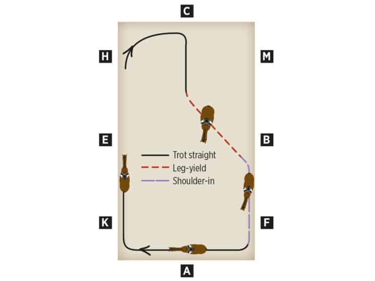 Diagram for a leg yield to shoulder in movement exercise to create a more uphill horse