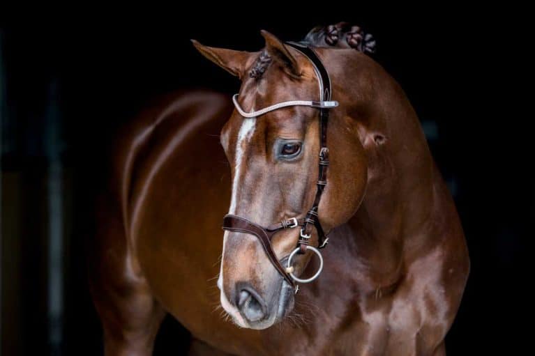 PS of Sweden’s Nirak bridle