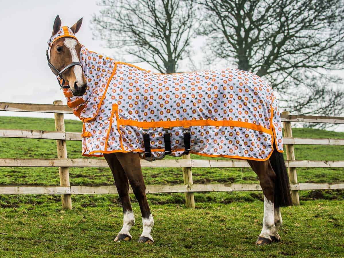 Derby House Pro bee print fly rug