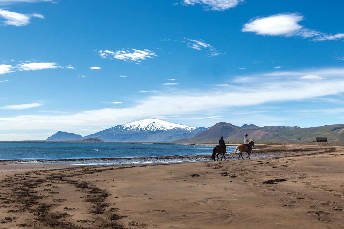 Riding Icelandic horses