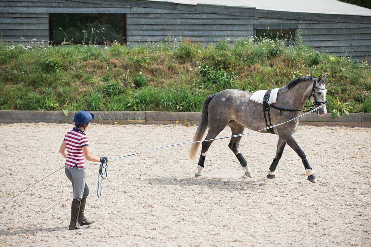 Where to stand when lungeing a horse