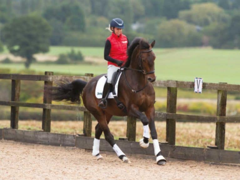 Use-the-scales-of-training-for-better-flatwork