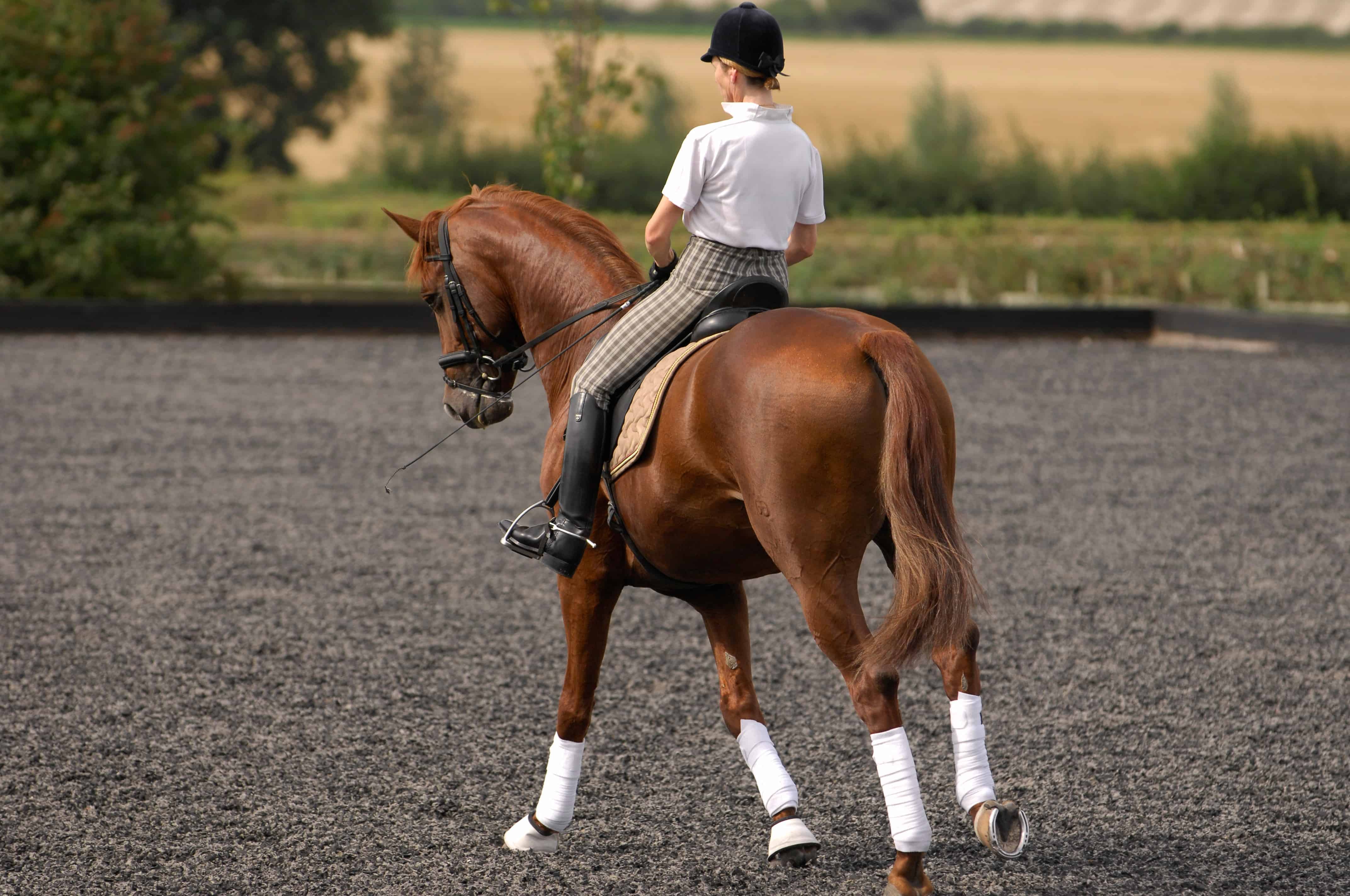 Flawless flatwork: Getting started