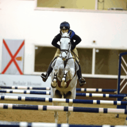 pippa-gridwork