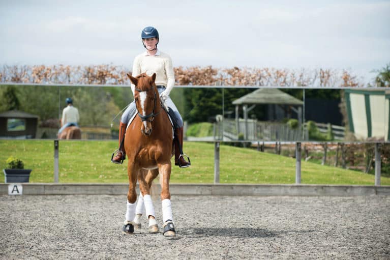 Suppling your horse using leg-yield