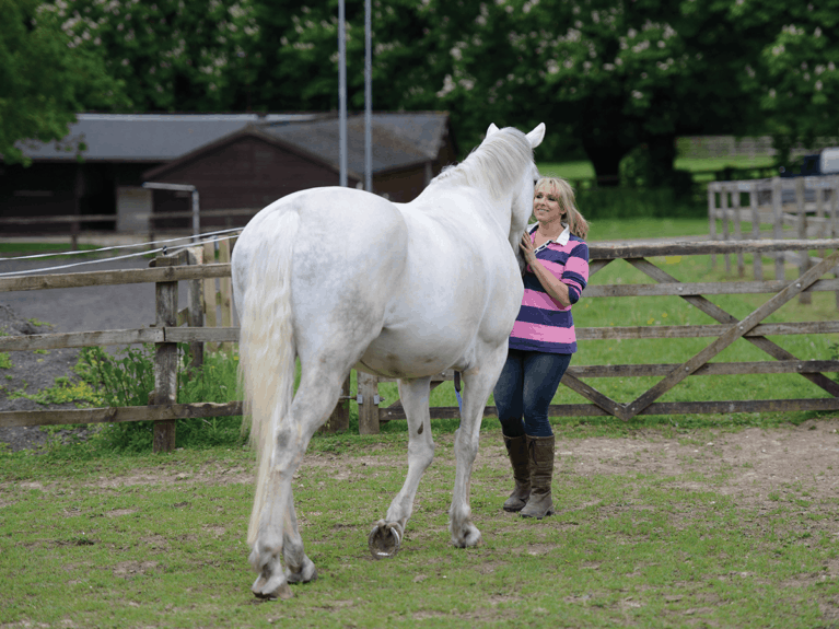 anna-saillet-body-language