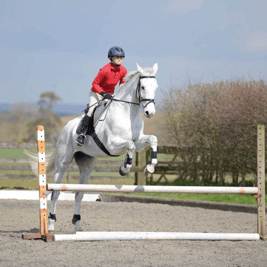 improve-your-horses-jump