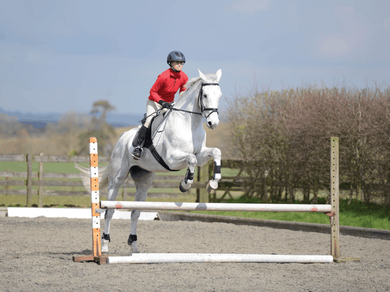 improve-your-horses-jump