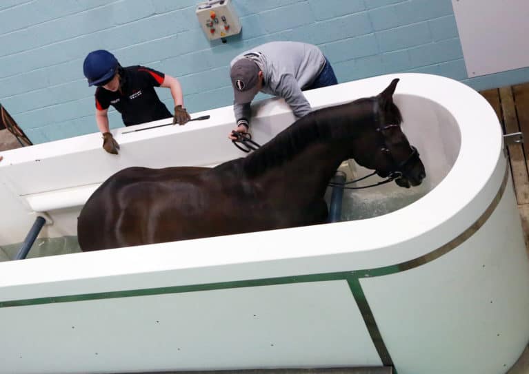 Valegro’s visits to Hartpury