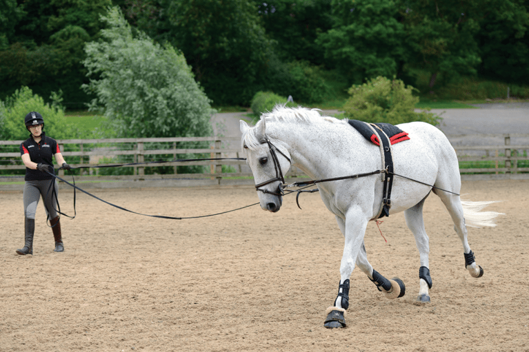 Equine Rehab: How lungeing can help