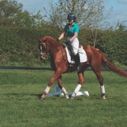 Eventing from the ground up