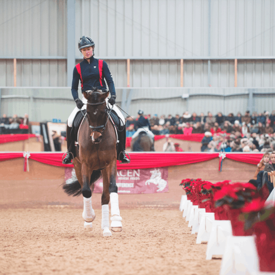 Train with Carl Hester: Dressage made simple