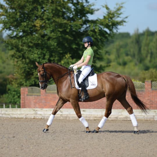 Improve your horse's suppleness
