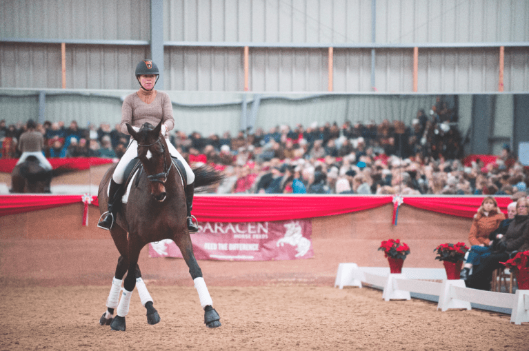 Carl Hester schooling solutions