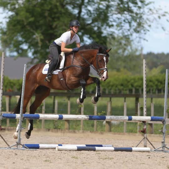Five simple steps to improve your horse’s jump