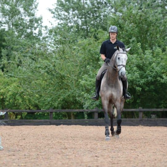 How to calm a spooky showjumper with Daniel Moseley