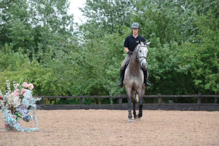 How to calm a spooky showjumper with Daniel Moseley