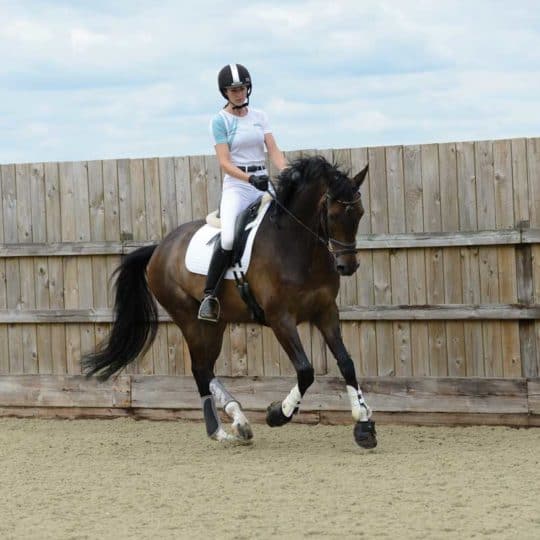Dressage test problem-buster with Sandy Phillips