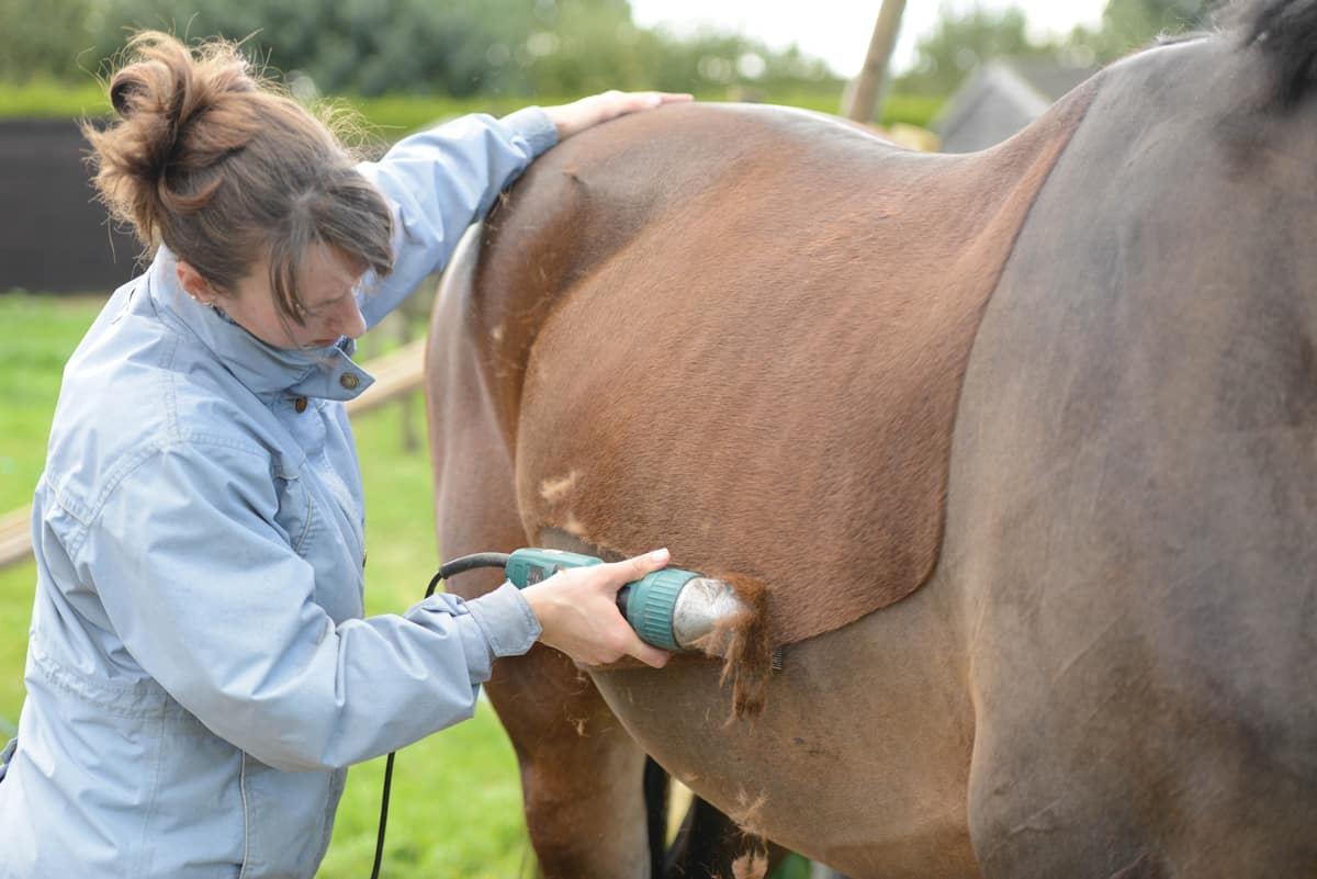 best horse clippers uk