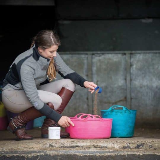 Feeding a horse supplements