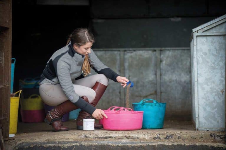 Feeding a horse supplements