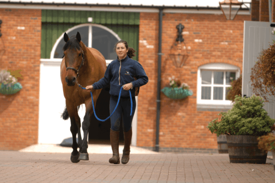 10-tips-to-live-by-when-buying-a-horse