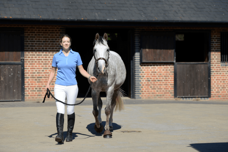 7 Signs your horse wears the trousers