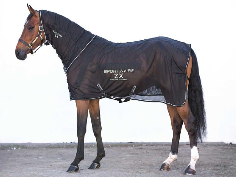 bestyrelse Mægtig tyran Gear Guide | Equestrian product reviews and releases | Horse and Rider