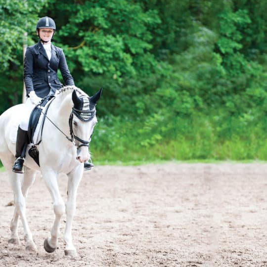 Dressage comments riders receive from judges