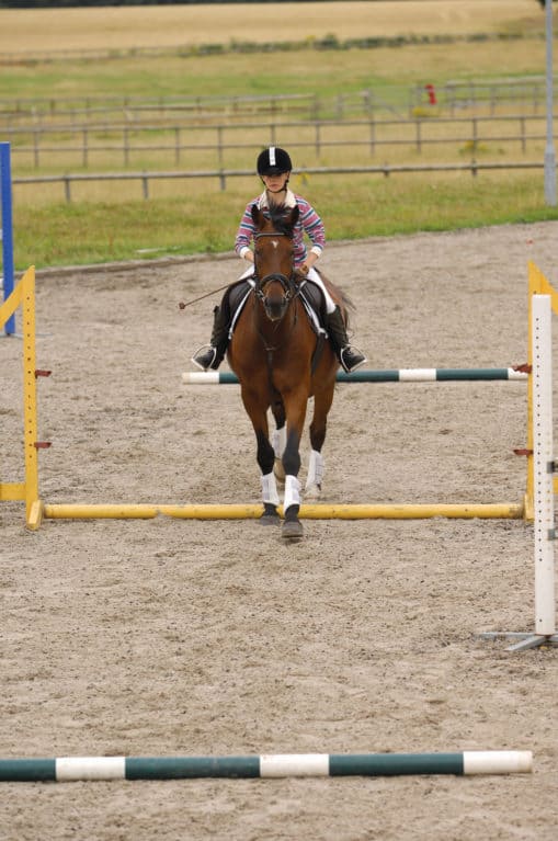 Horse altering its striding between poles to lengthen stride