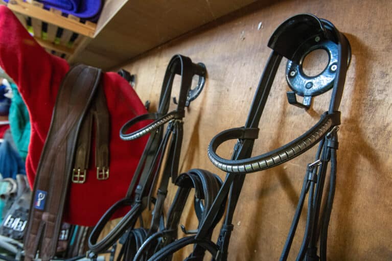 Tack hanging in a tack room