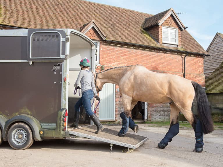Horse being loaded into trailer