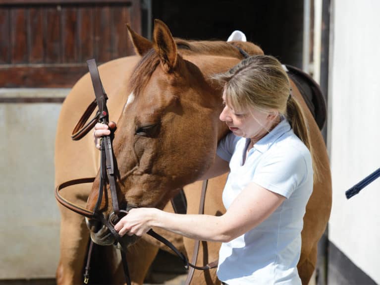 Best bits for horses that put tongue over the bit Bitting Your Horse Horse And Rider