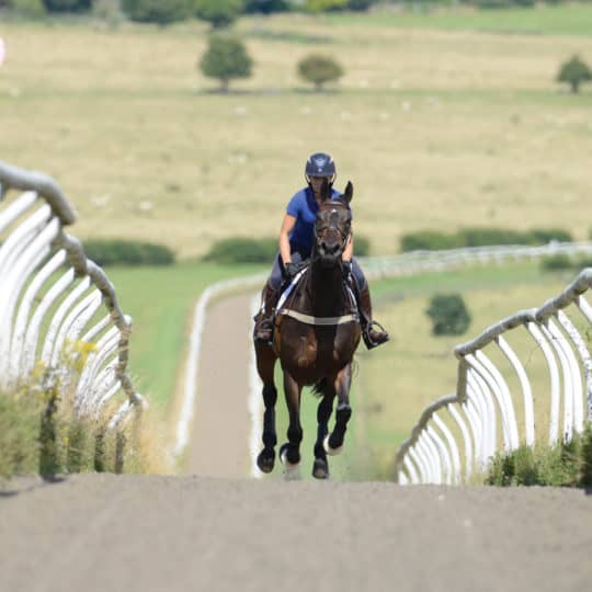 Horse and rider galloping