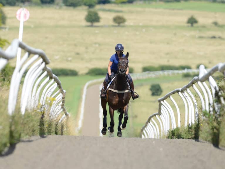 Horse and rider galloping