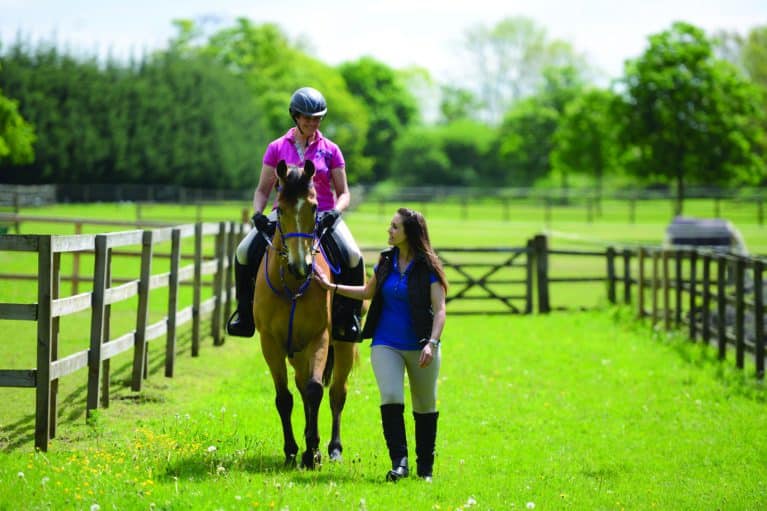 Person riding horse