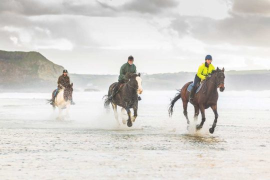 Horse riding on the beach in winter