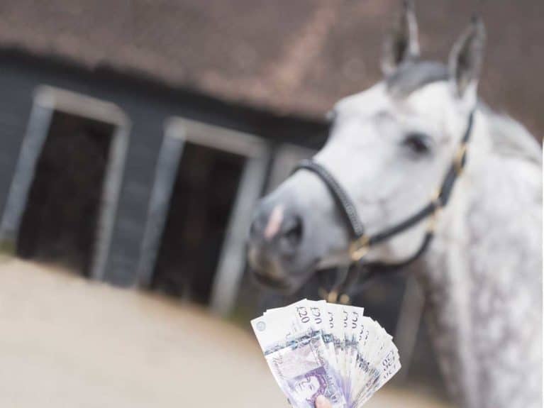 Cost of keeping horse at livery